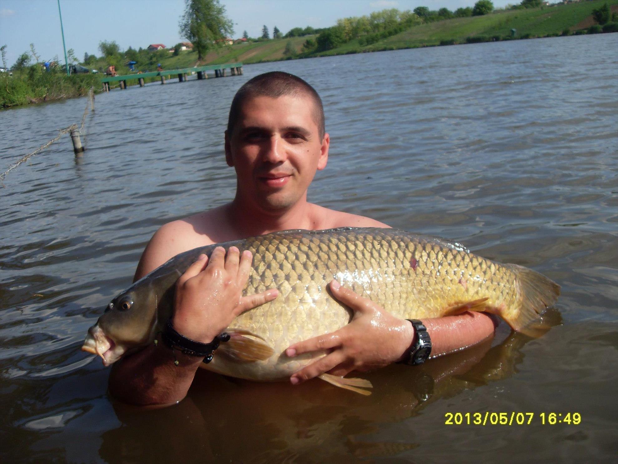 Crapturi - 919550378838112231579398533980o.jpg